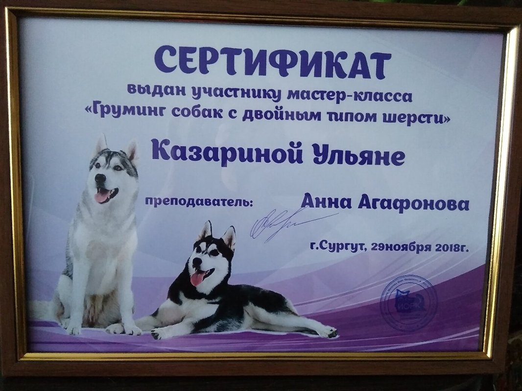 Документ или сертификат