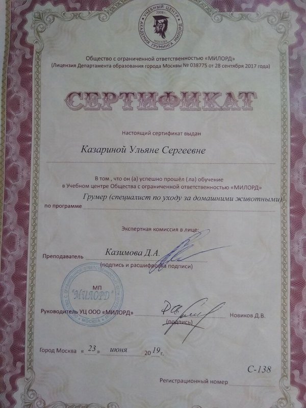 Документ или сертификат