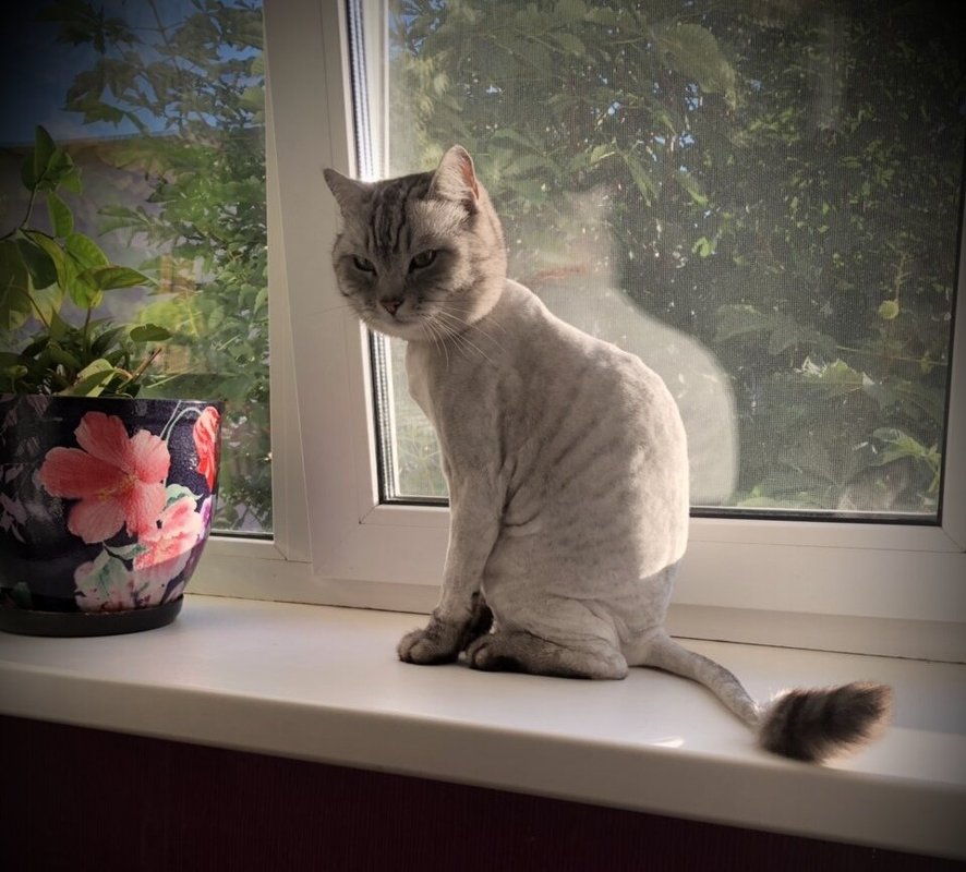 Фото врача