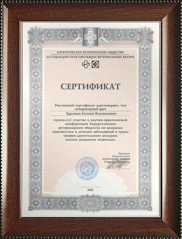 Документ или сертификат