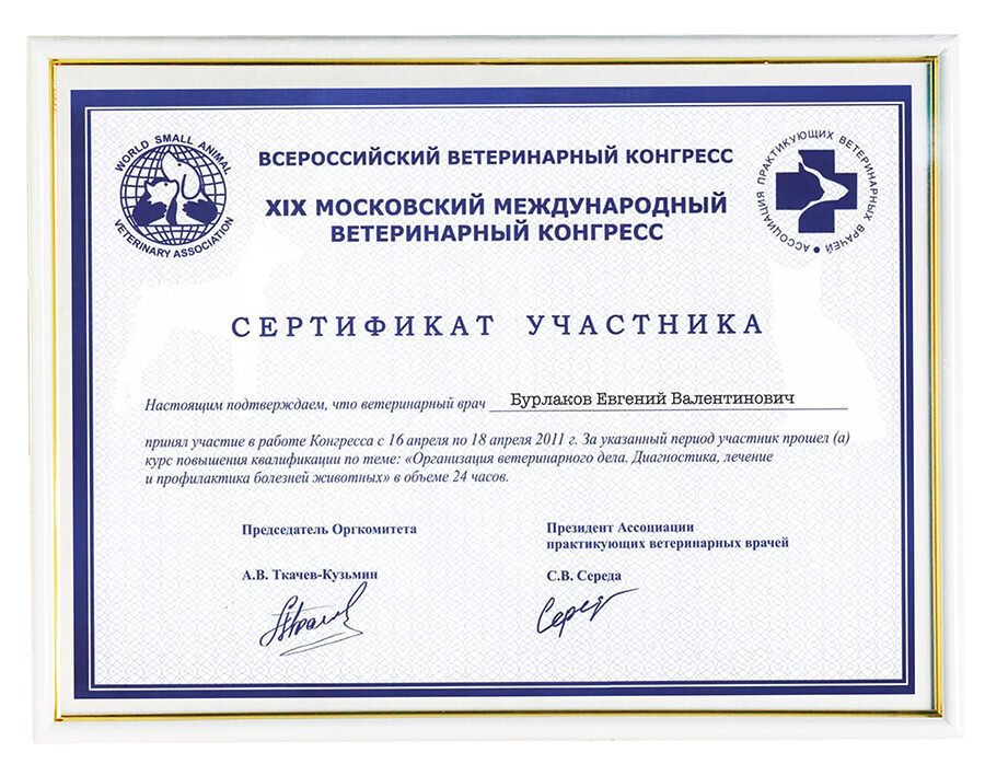 Документ или сертификат
