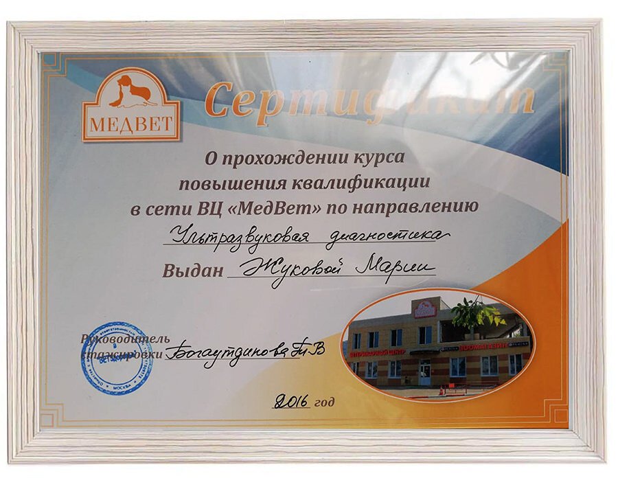 Документ или сертификат