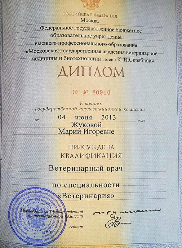 Документ или сертификат