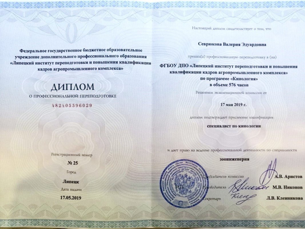 Документ или сертификат