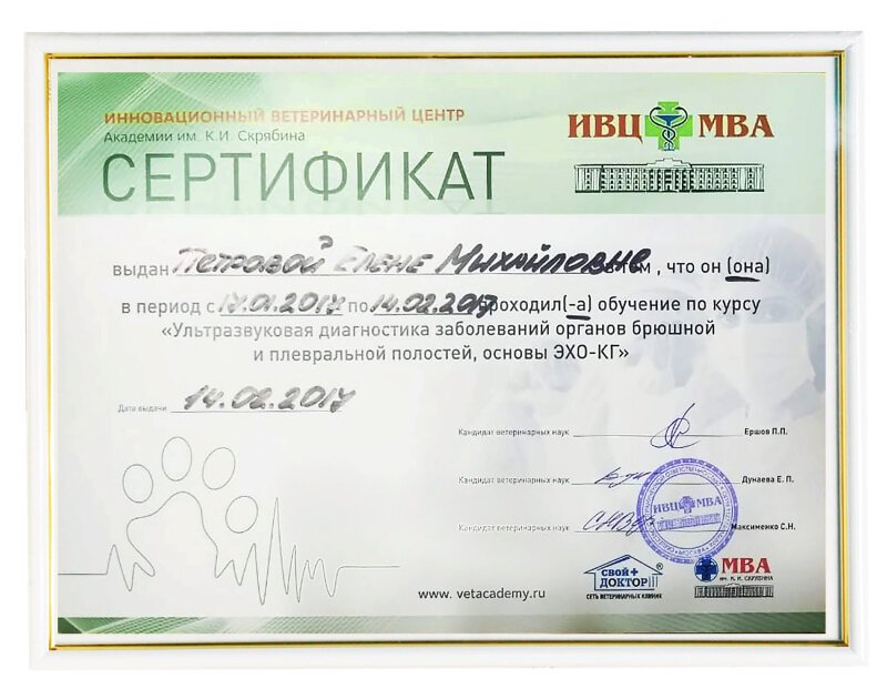 Документ или сертификат