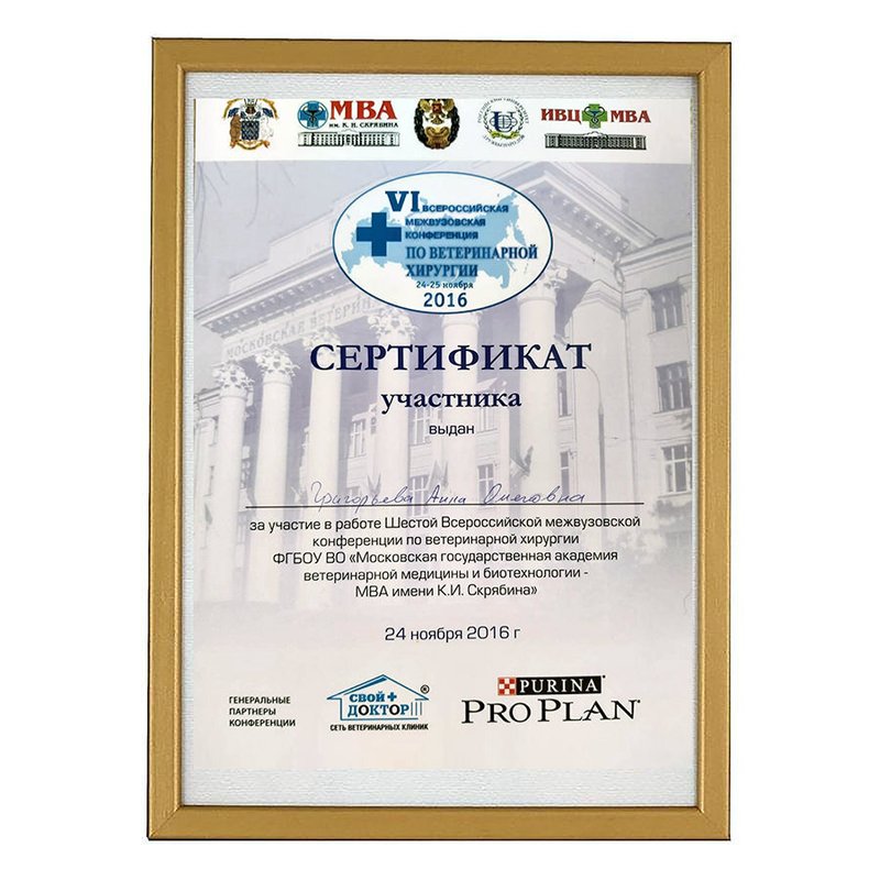 Документ или сертификат