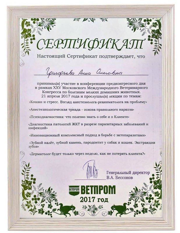 Документ или сертификат
