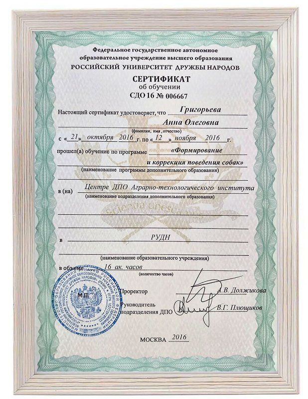 Документ или сертификат