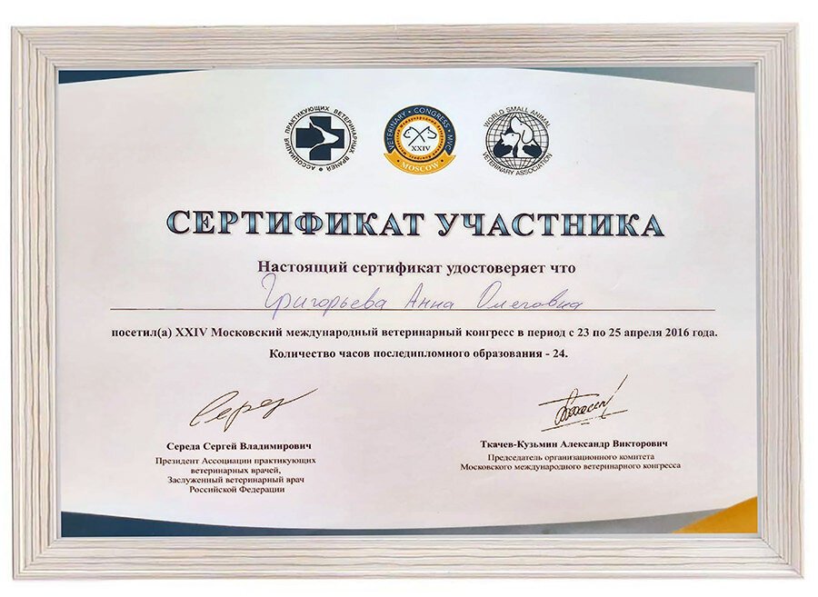 Документ или сертификат