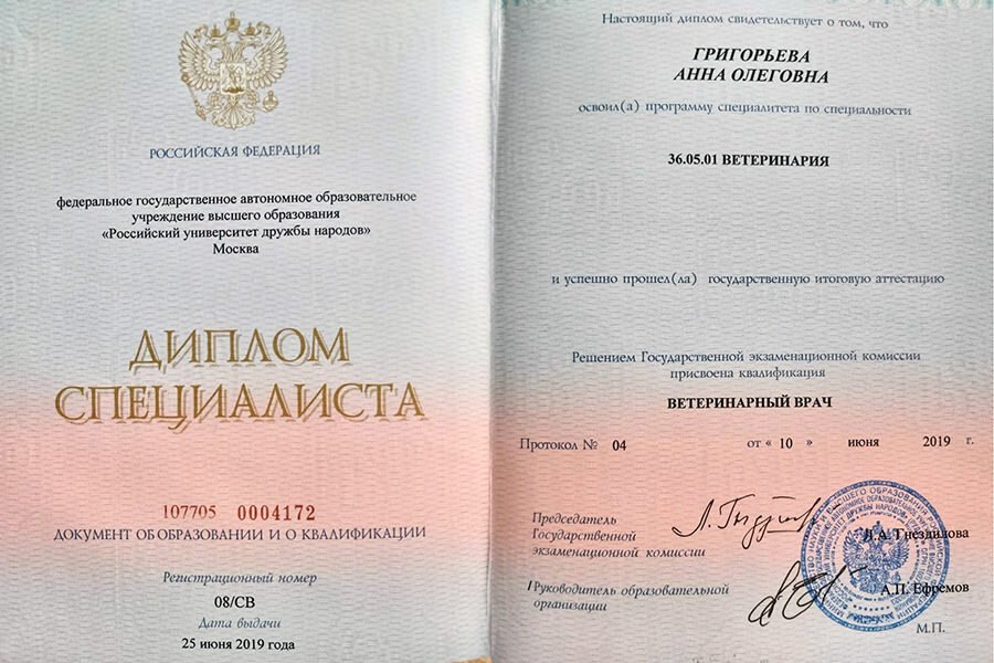 Документ или сертификат