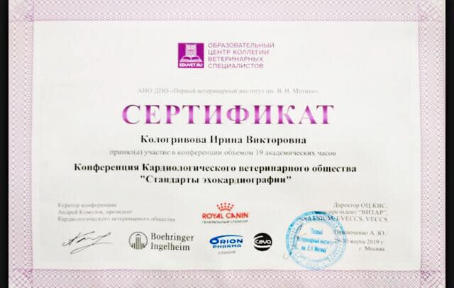Документ или сертификат