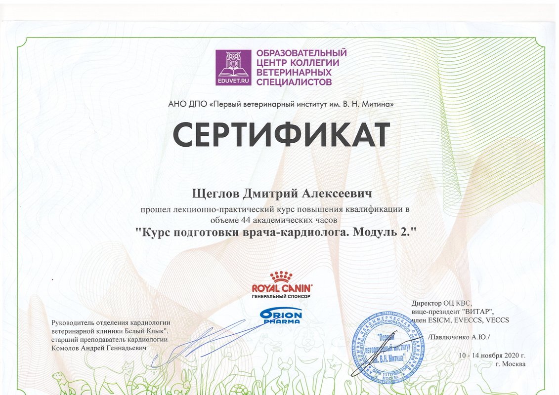 Документ или сертификат