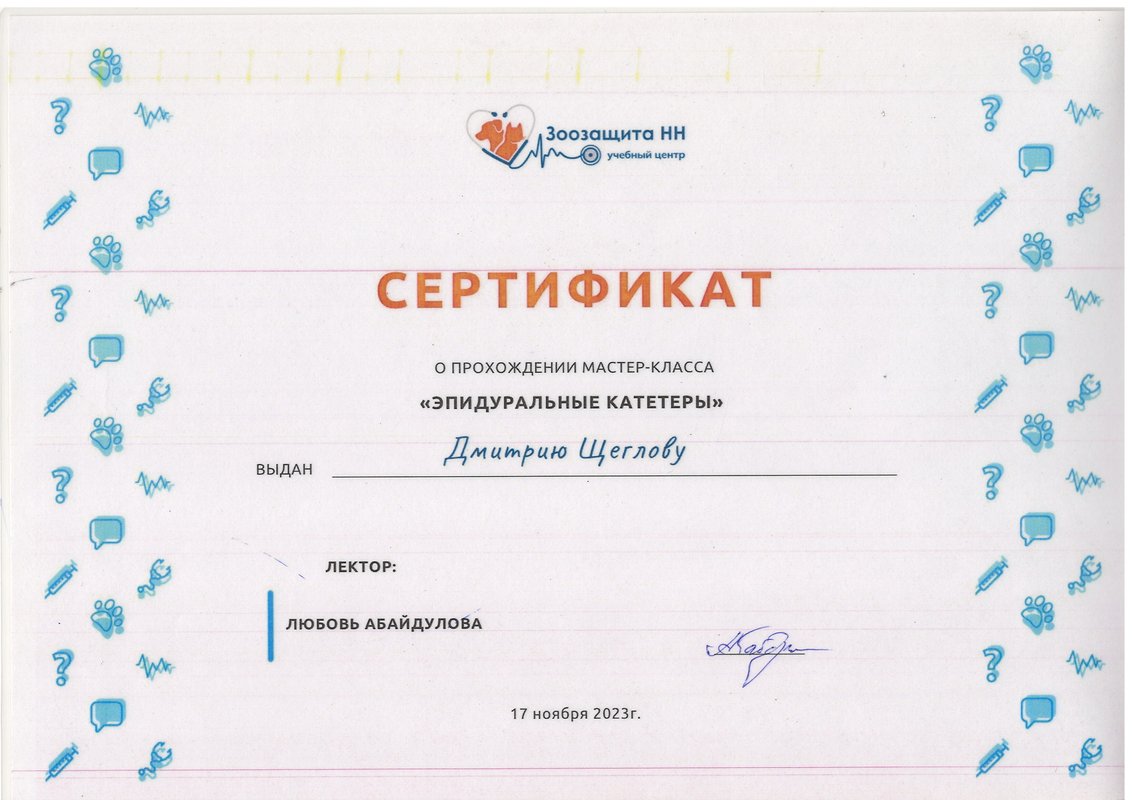 Документ или сертификат