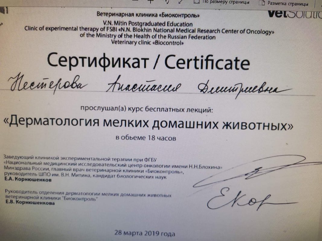 Документ или сертификат