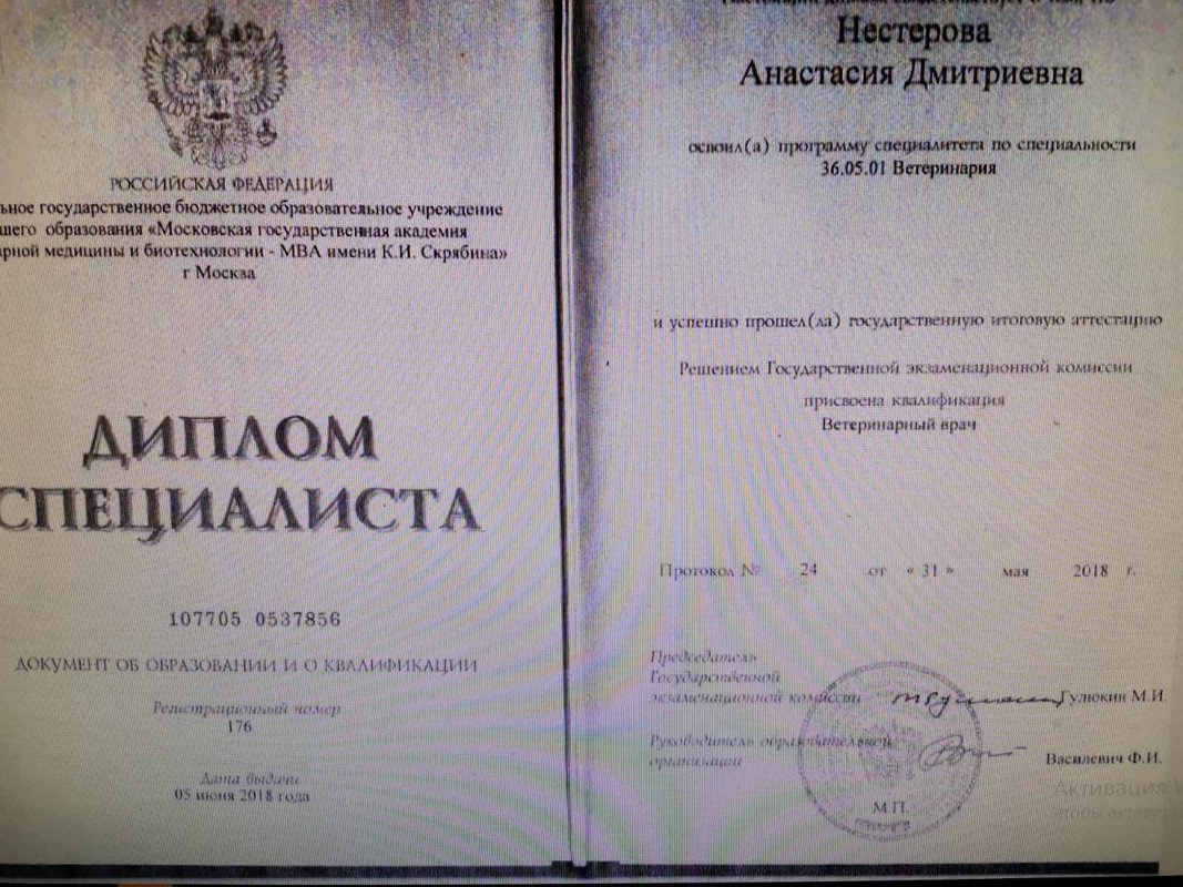 Документ или сертификат