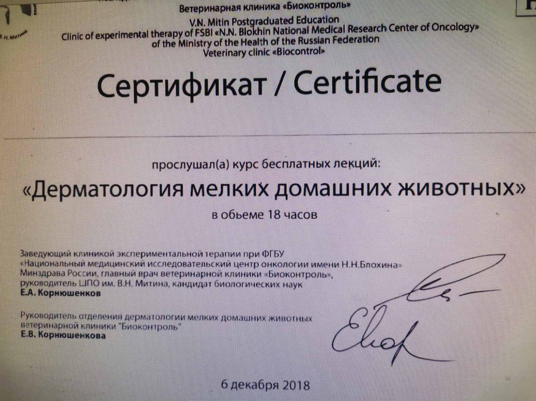 Документ или сертификат