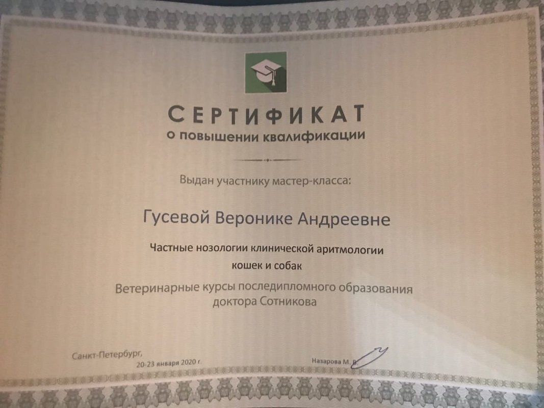 Документ или сертификат