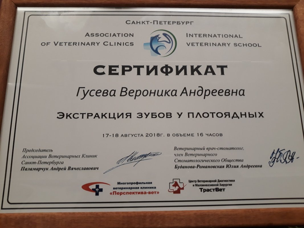 Документ или сертификат