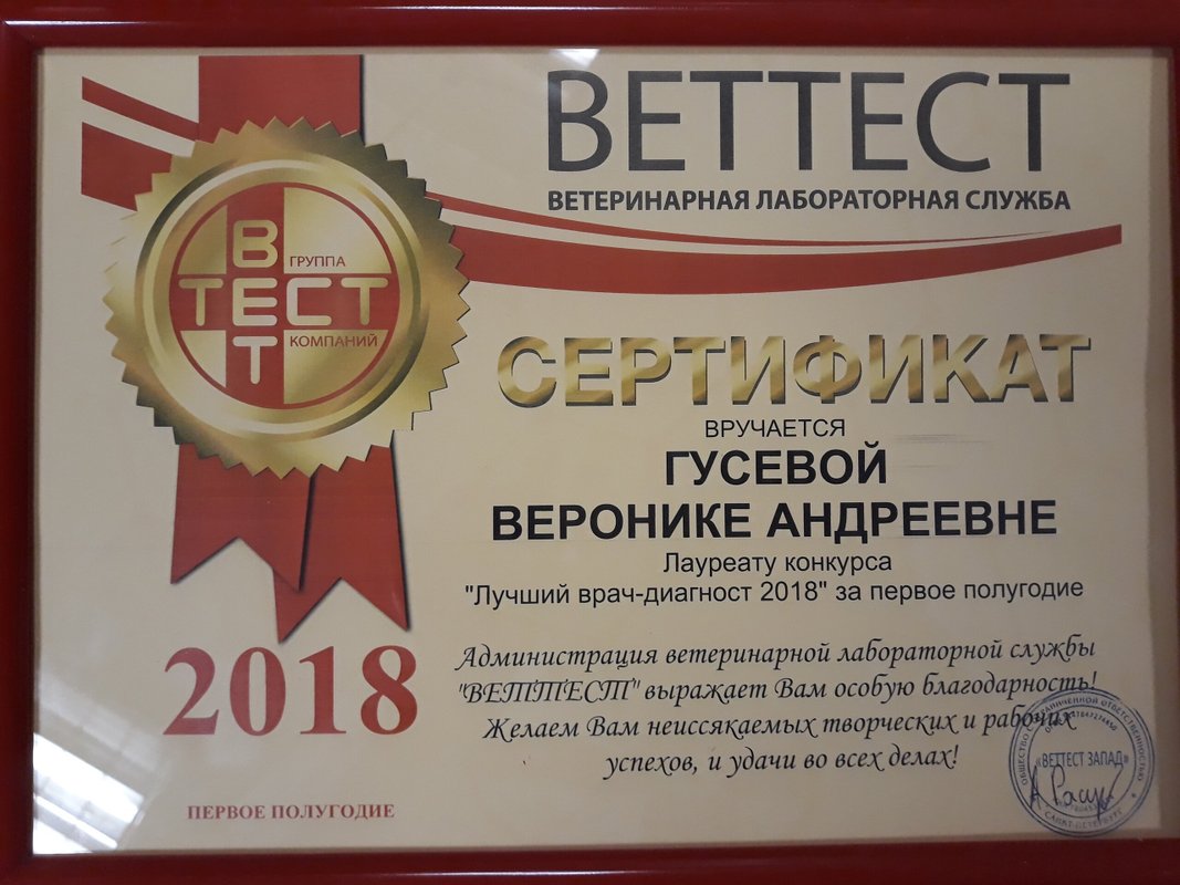 Документ или сертификат