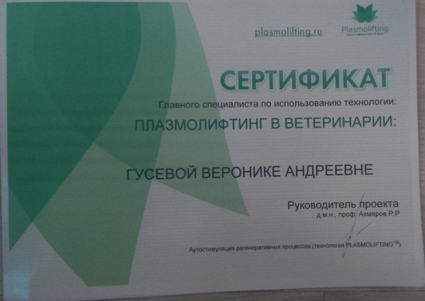 Документ или сертификат