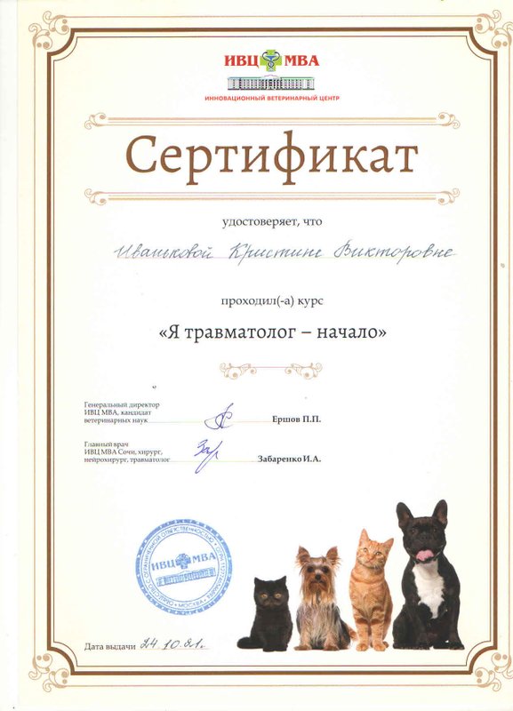 Документ или сертификат