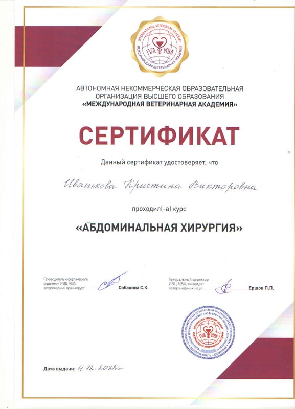 Документ или сертификат