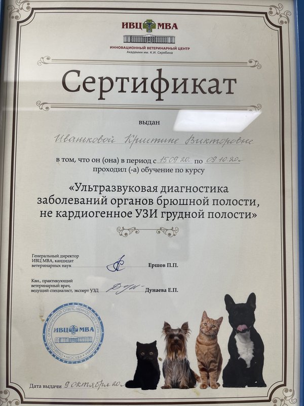 Документ или сертификат