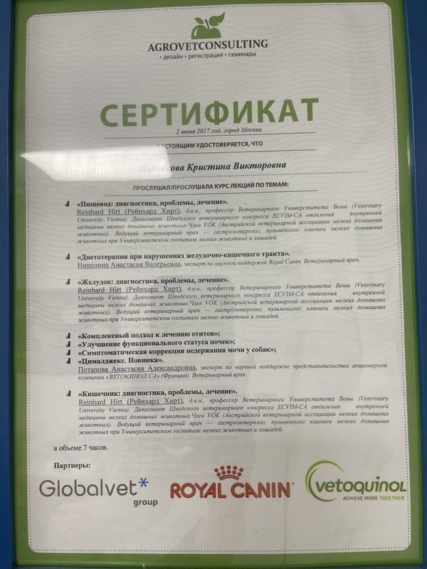Документ или сертификат