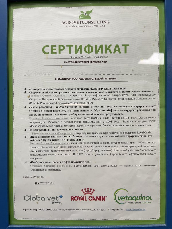Документ или сертификат