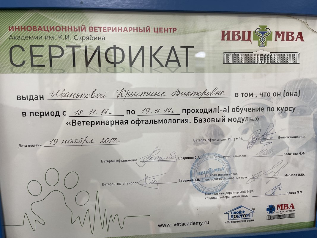 Документ или сертификат