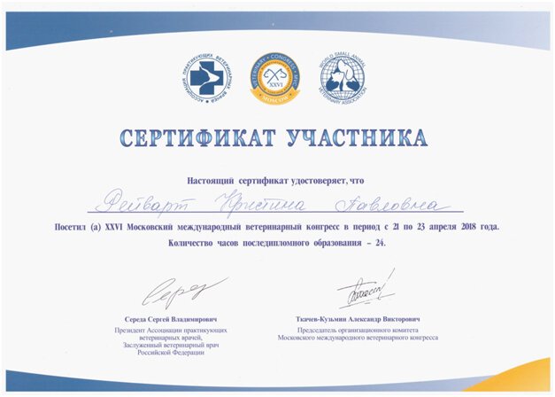 Документ или сертификат