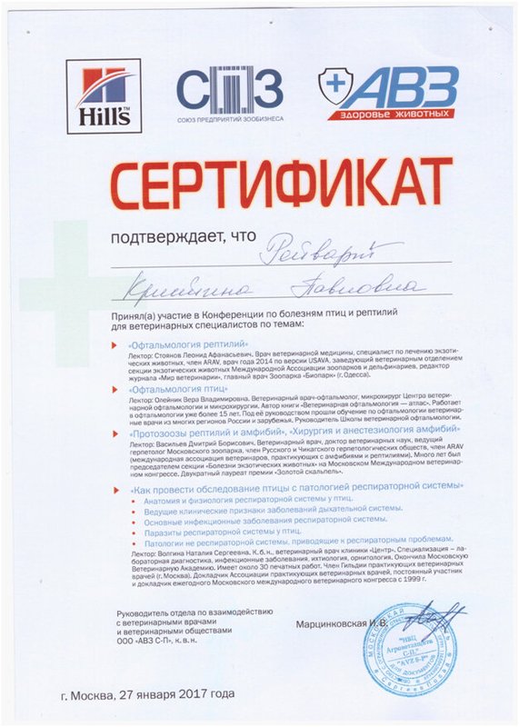 Документ или сертификат