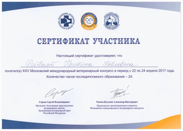 Документ или сертификат