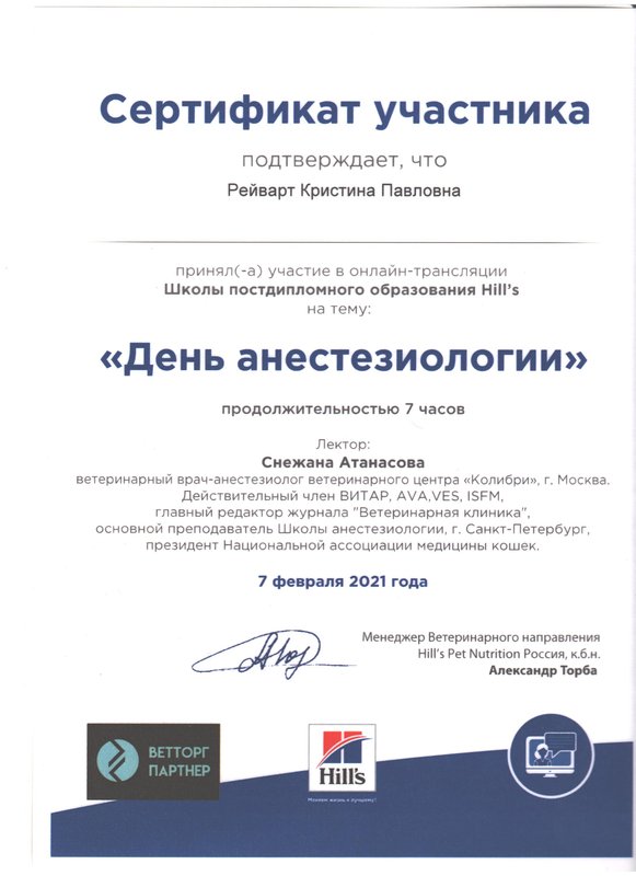 Документ или сертификат