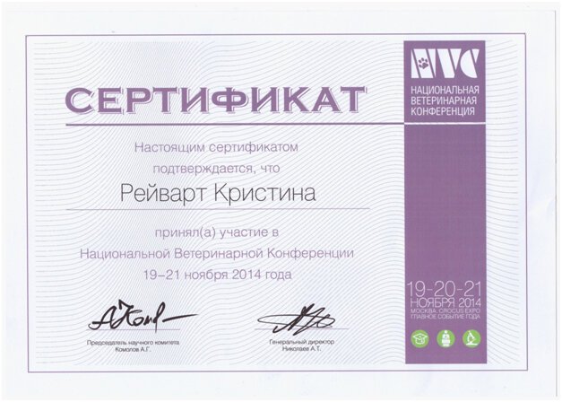 Документ или сертификат
