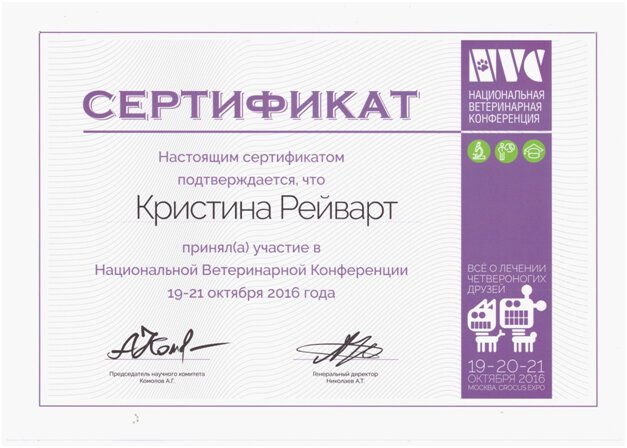 Документ или сертификат