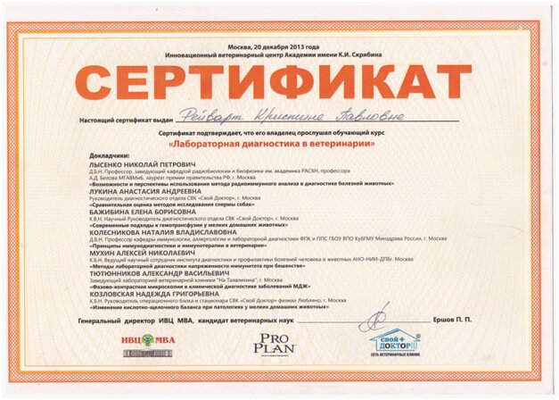 Документ или сертификат