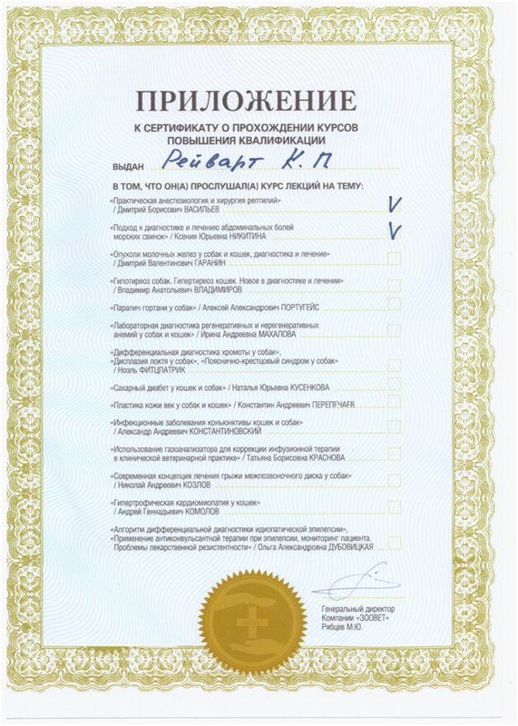 Документ или сертификат