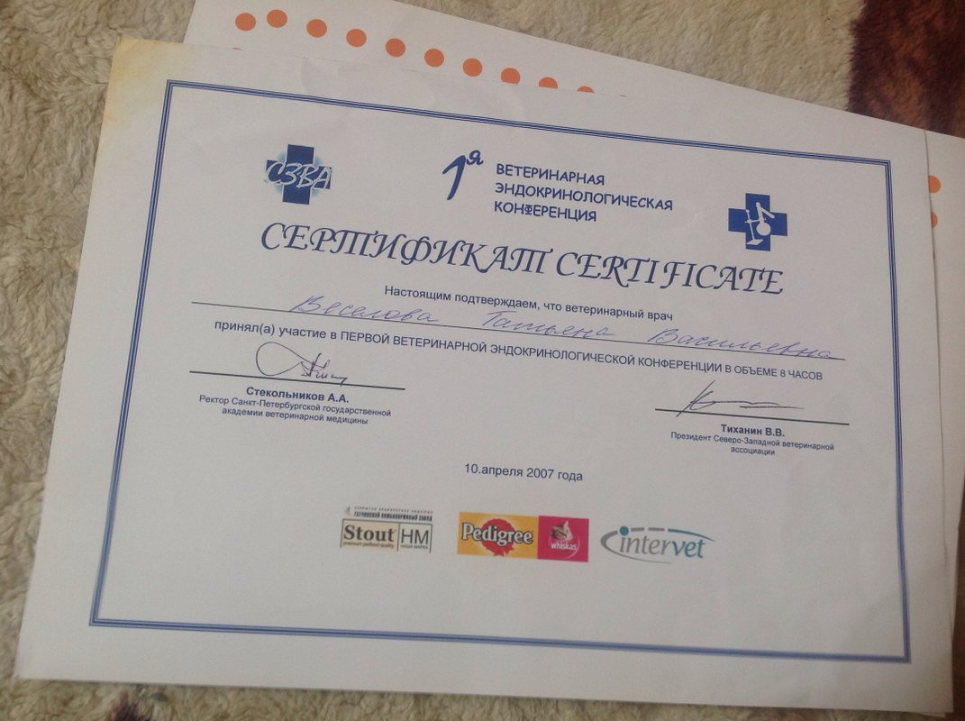 Документ или сертификат