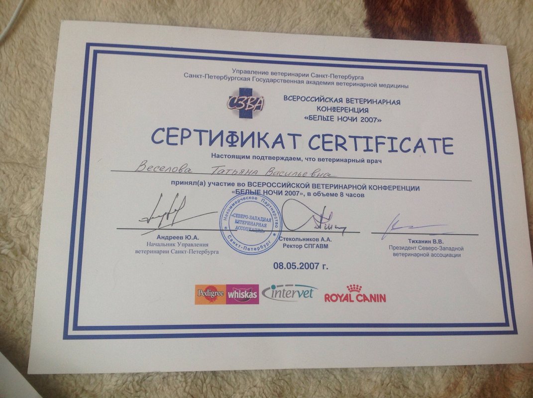 Документ или сертификат