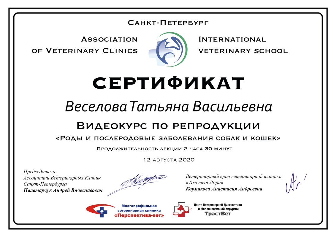 Документ или сертификат