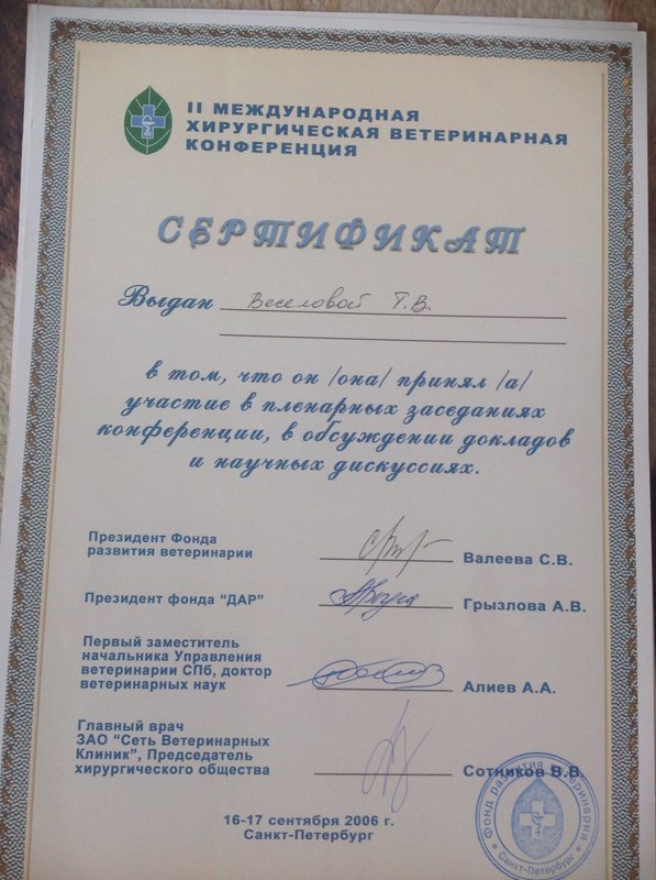 Документ или сертификат