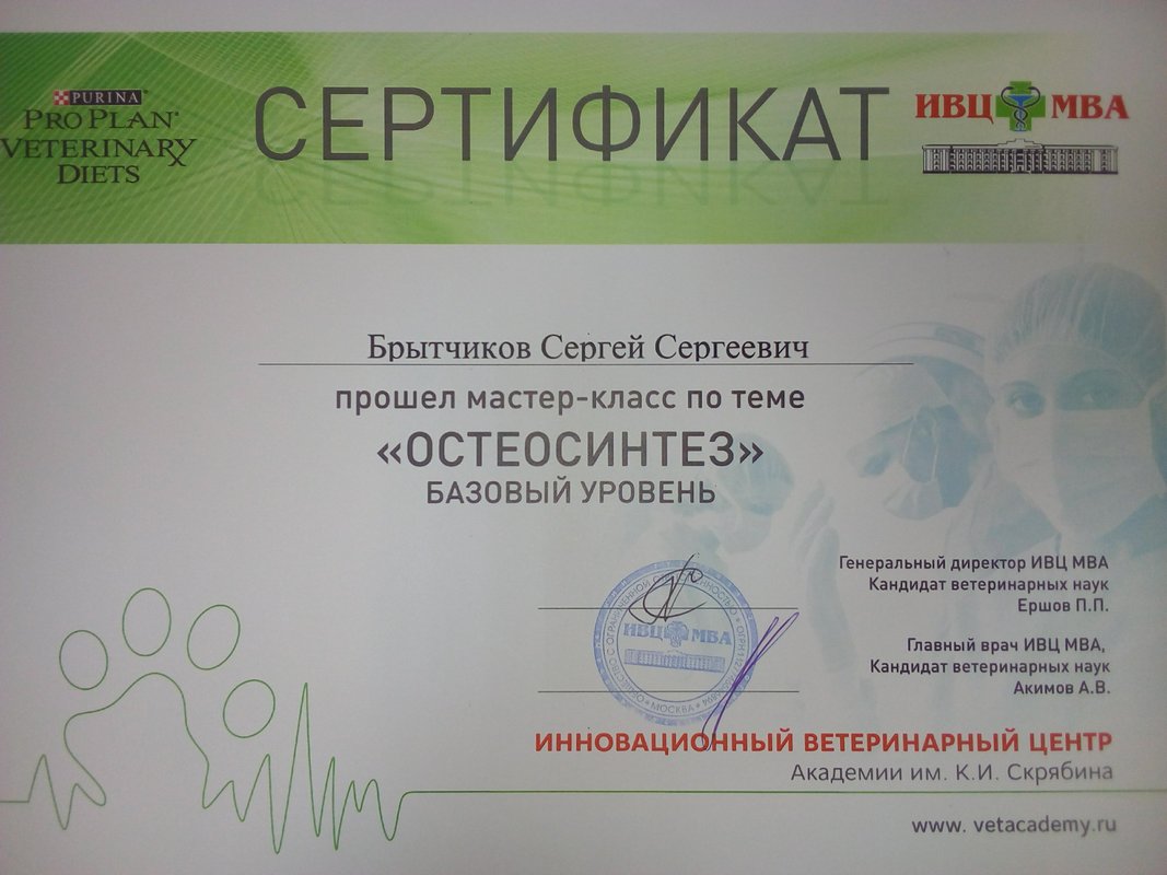 Документ или сертификат
