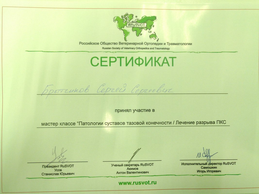 Документ или сертификат
