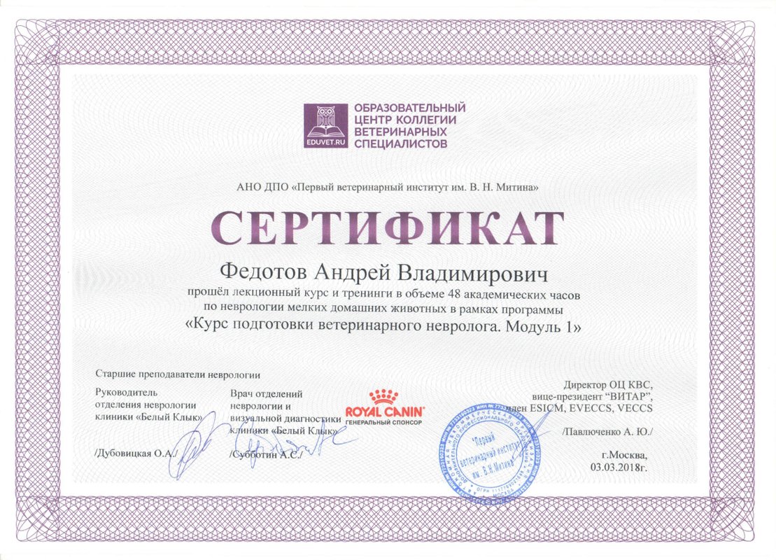 Документ или сертификат