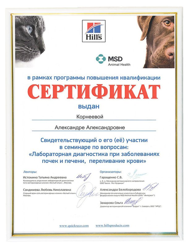 Документ или сертификат