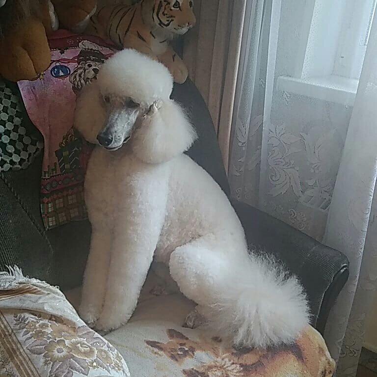 Фото врача