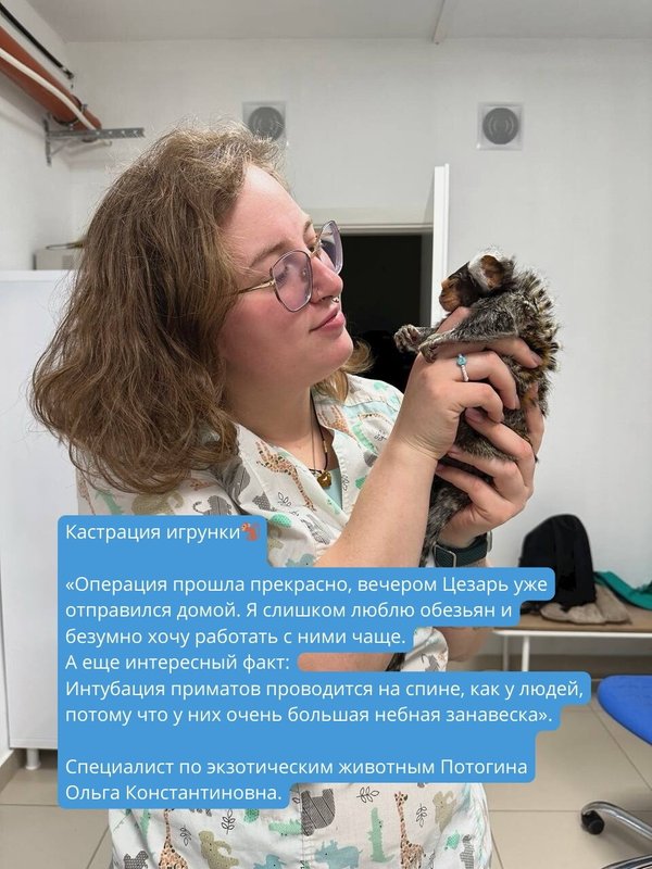Фото врача