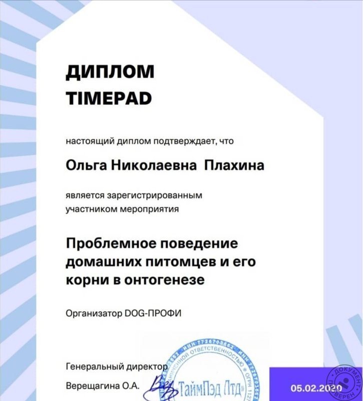 Документ или сертификат