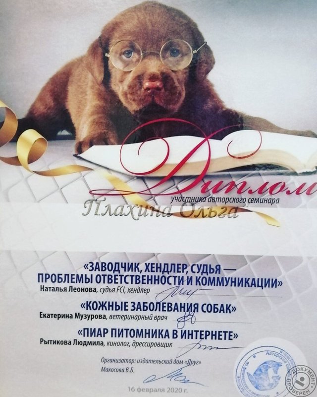 Документ или сертификат